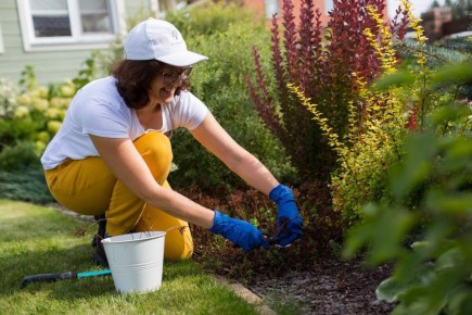 Как правильно выбрать инструменты для сервисного ухода за садами