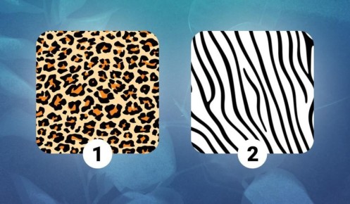 ����� ����� ������� � �������: ��� �� ����� ���� ���������� ��� ��������?