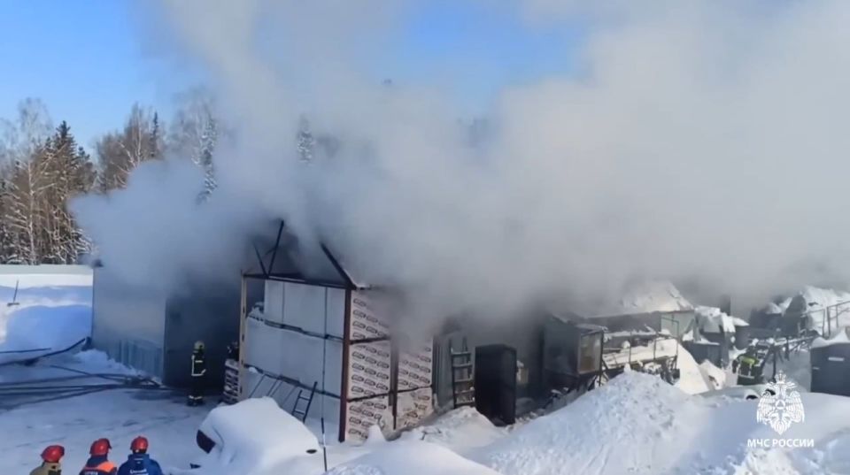 � ����������� ������ ����� ����� ����������������� ����� �� ����� �������, ������� ������������� �����-������ ��� ��������