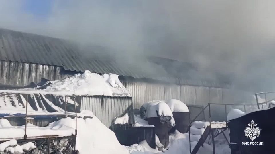 �� ������ � ������������� � ��������� ����� �������� 45 ���� ���� � ���� ��� ��������