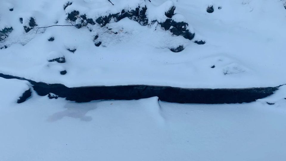 ��� ������� ����� ������� ����� � ������� ������ ������������ �����������, �������� � ���������� ��������