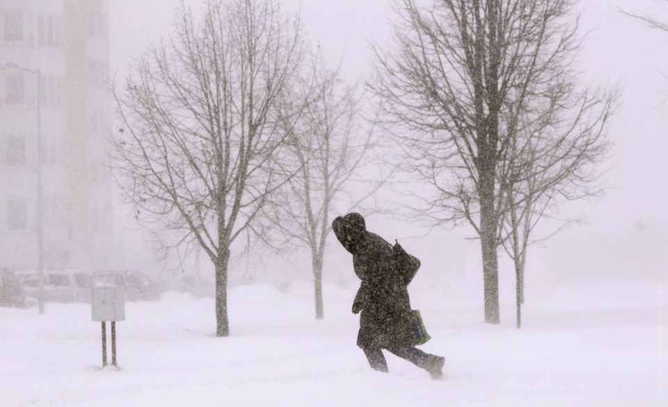 ��������. �� ���������� ����������� ��������������, ����� 8 ����� ������� �� ���������� ��������� ������, ��������� ���������, �������� �����