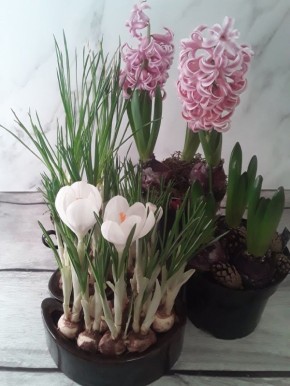 ����� � ������������: ������� ����� �� ���������� ����������� ����� �������