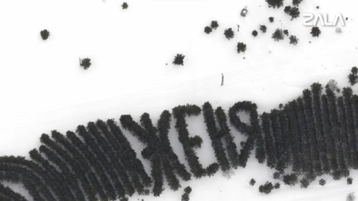 ���������� �������� �������� Zala � ���� ��������� ����������� �������� ��� � �������� ���������� ��������� �������� � �������� ����� ������, ���������� �������� ���������