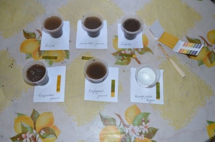 Как быстро проверить кислотность почвы для рассады томатов