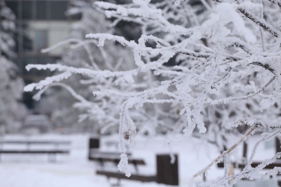 ��������. �� ���������� ����������� �������������� ����� � ����� 10 ����� ������� �� ���������� ��������� ����� -30