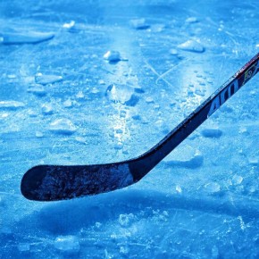 ��������� ������� ��������� ������� � ������ 2016/17 ���� ����� � ����-���