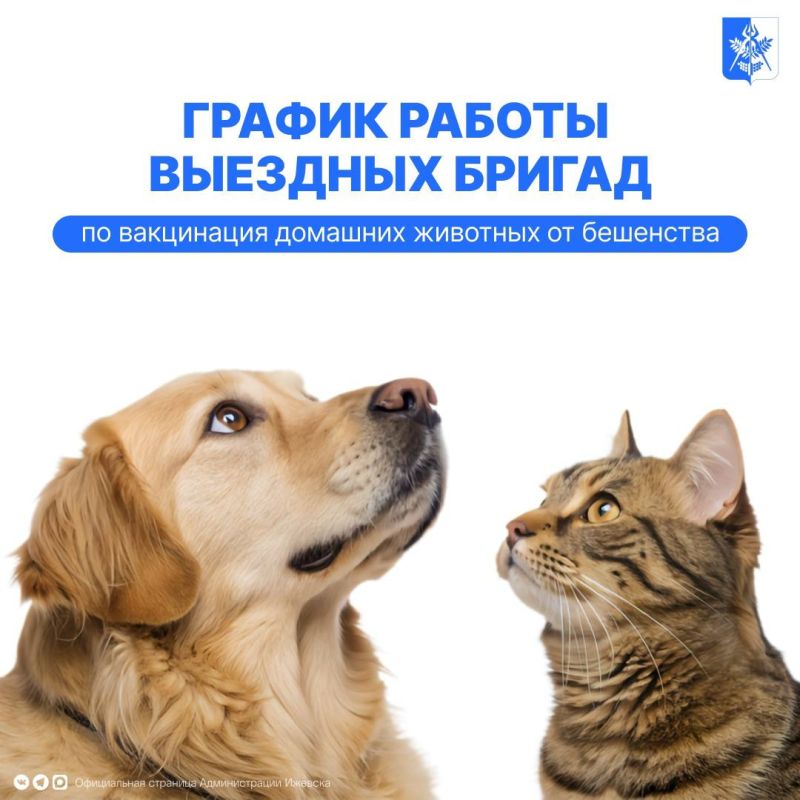 � ������� ������������ ���������� �������� ������ ���������� �������� �������� �� ���������