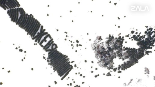 Специалисты ижевской компании Zala (Зала) выяснили историю создания огромной надписи «Женя», высаженной деревьями в Башкортостане