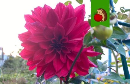 ��� ��������� ��������� �� ����������: 4 ������� ������� ��� ��������� ��������