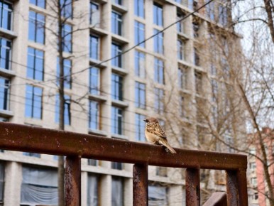 � �������� ���� � �������, 19 �����, ����������� ������� ���������� �� +7�+12��