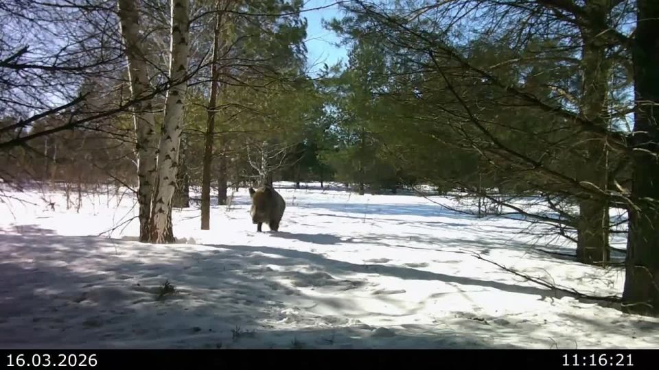 ������� � ����� ����������� � ��������������� ��������� � ��������� ������� ����