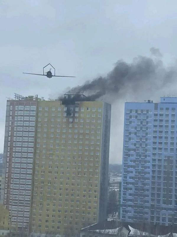 ���� ����: ���� ��� ����� ����� 283 ���������� ���� ��� 15 ���������� ������: