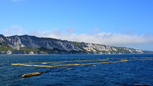 Горбуша уходит: как Курилы меняют рыболовный бизнес