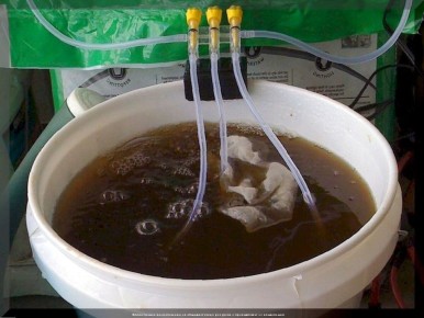 Незаменимые факты об органических удобрениях: ответы на актуальные вопросы