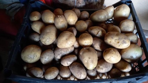 ��� ������ ����������� ��������� � ������� � �������� ��������� ������