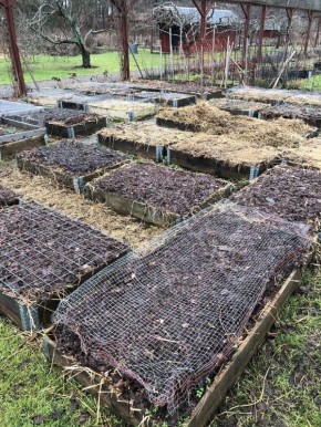 Как правильно подготовить дачный участок к весеннему сезону без лишних усилий