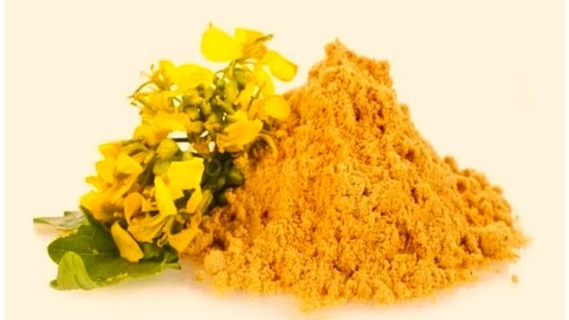 �����, ��� � ����: ������� ������� ������� ��� �����