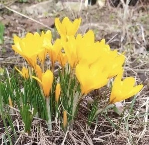 Весна начинается с ярких красок!