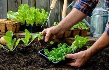 ��� �������� ���������������� ������ ��� ����������� �������