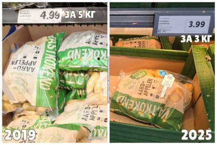 Цены на продукты в Голландии: шокирующие изменения за шесть лет