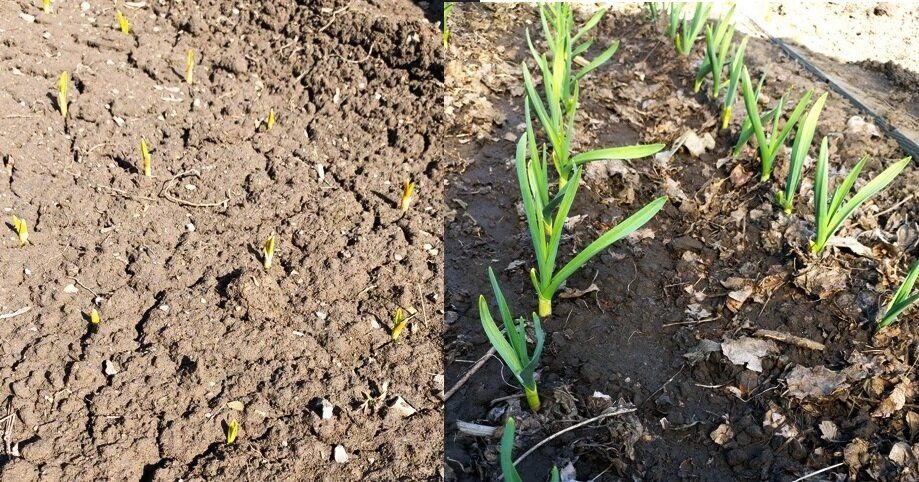 ���� �� �������� � ������: ������� �������� ���������