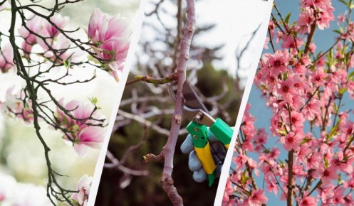 ����� � ����: ����� ������� �� ������� ��������, ����� �� �������� ������