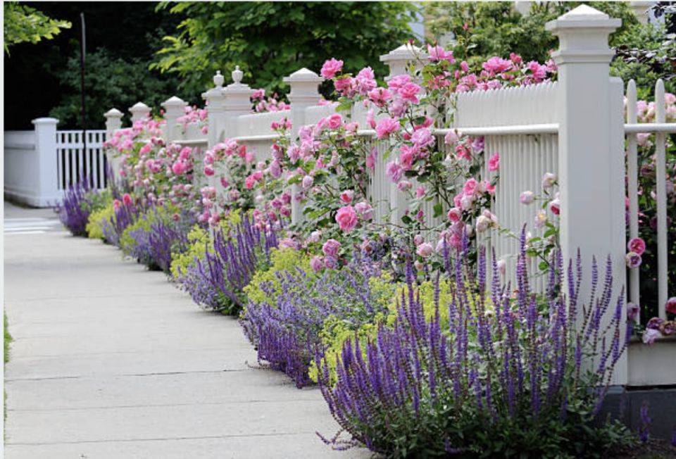 ������������ ��� ��������� ����: �������� ������ ��� ������ ����