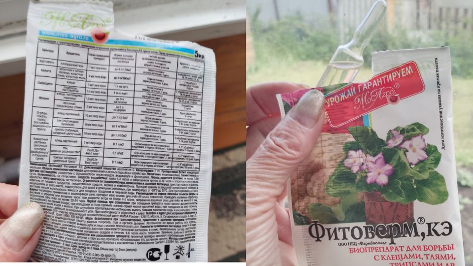 ��������: ���������� � ����������� �������� �������� ��� ������ �������