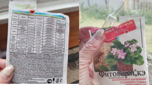 Фитоверм: безопасный и эффективный защитник растений для вашего огорода