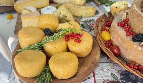 ���������� ����: �������� �� ������ ���� �����