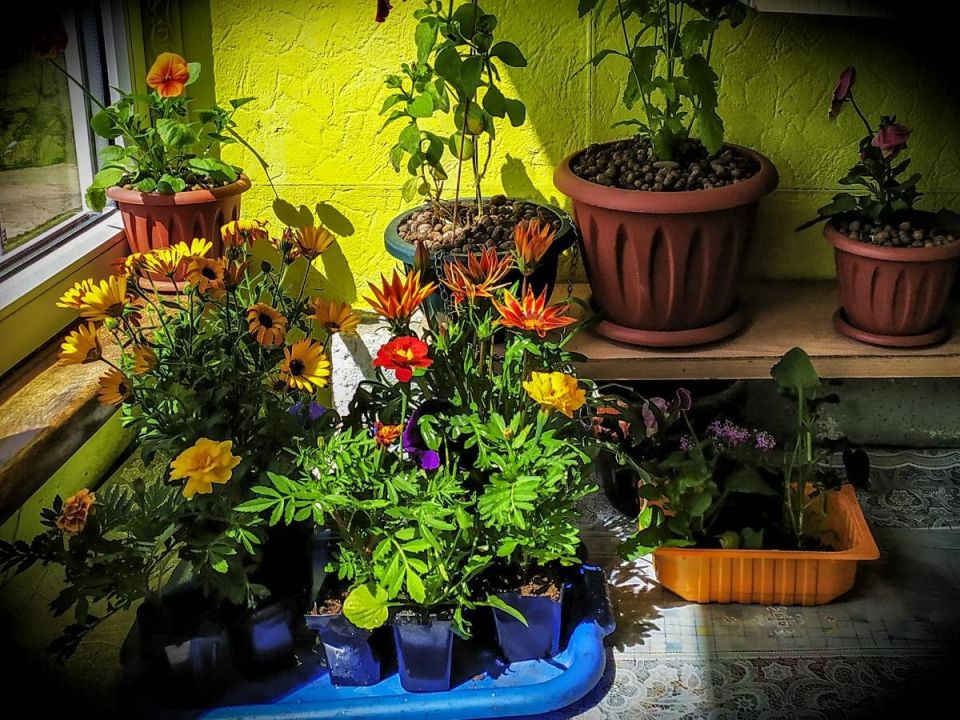 ��� ���������� ���������� � ������ �����: ��������� ����� ��� �������� �������