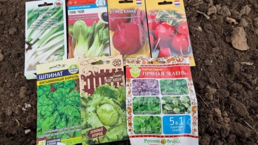 Весенний посев: что сажать в апреле, а что ждать до мая