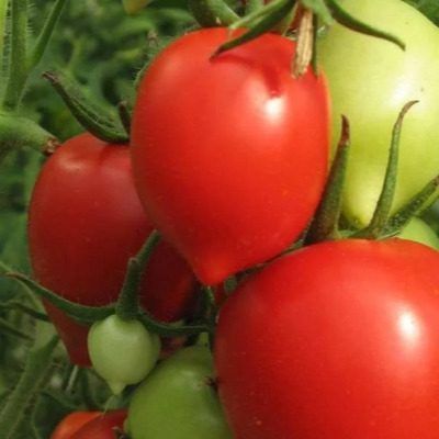 ����� ������: ��������� ����� ��� ��������� ������ � �������� �������