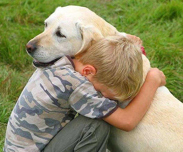 ���������� �������: ��� ������������ � ���������� � ������ ����� ����������