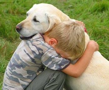 Психология ребенка: как поддерживать и направлять в разные этапы взросления