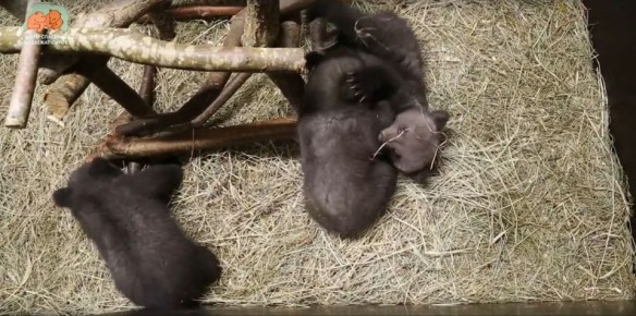 �������� � �������� ��������� �������� �������� �����, �������� ����� �������� ��������-����� � �������� �������