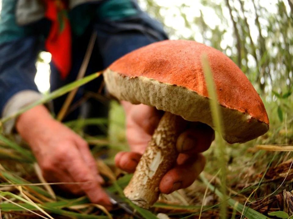 ����� ��� �������: ��� ����� ����� � ����� ��������