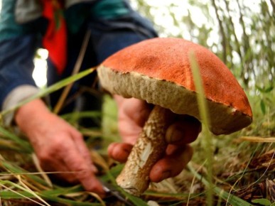 ����� ��� �������: ��� ����� ����� � ����� ��������