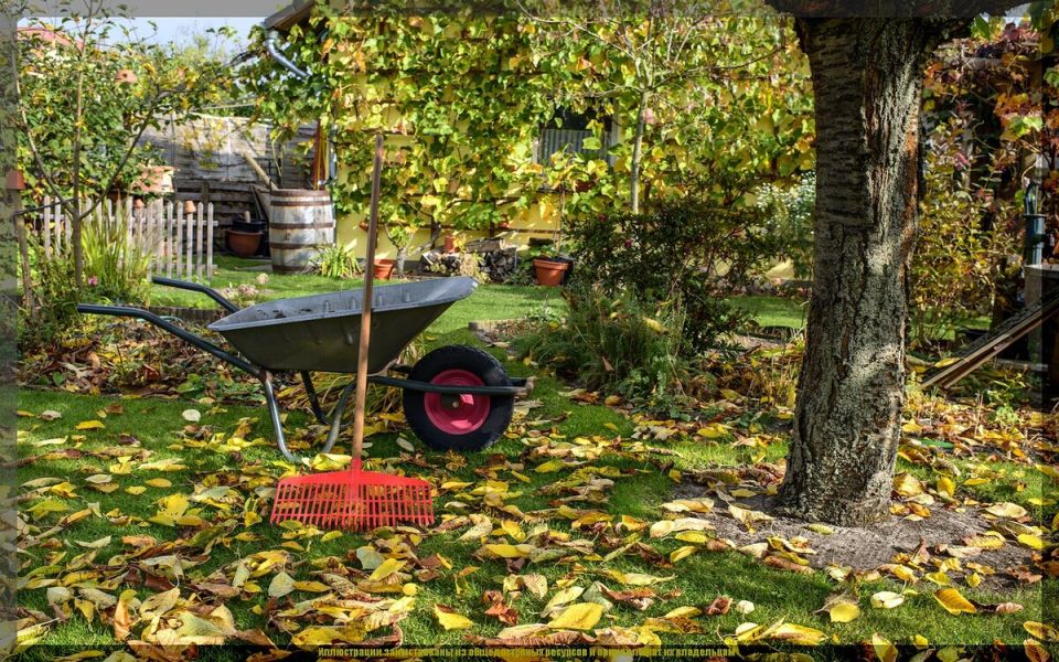 ��� ����������� ��� ��� � ����: ������ ������� ������, ������� ����� ���������