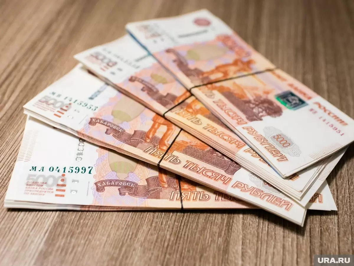 Срок возврата госсубсидий по программе ПДС планируют увеличить до пяти лет