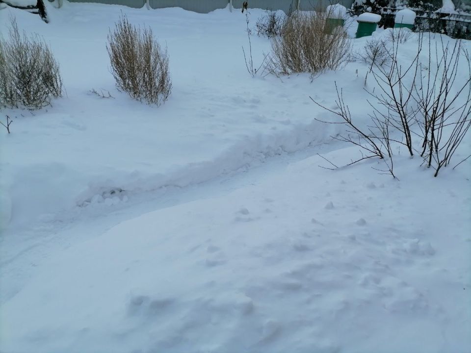 ��� ������������� � �������������� ������ � ������