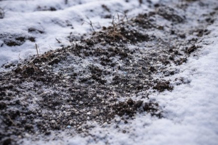 ������ ���� �� ���������� � �������� ������ �����