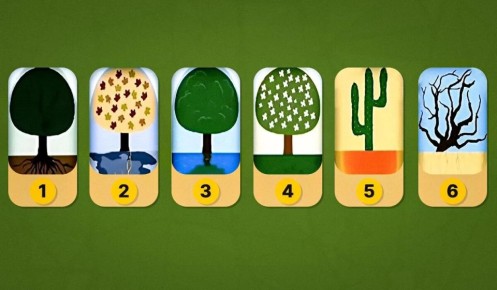 ��� ��� ����� �������� ������� � ����� ��������: ����������� ��������������� ����