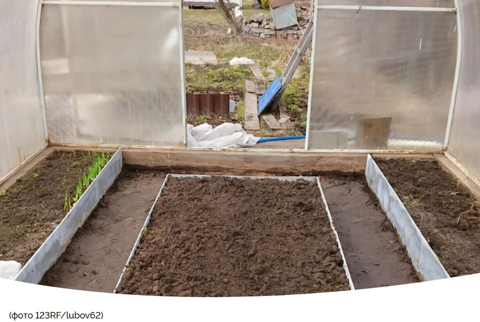 ��� �������� ��������� �������: ������������ ����������� ����� ������� ��������