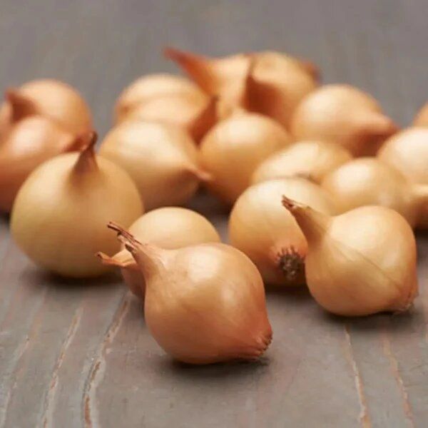 ��� ������: ������� ������, ������� �������� ������ �����������