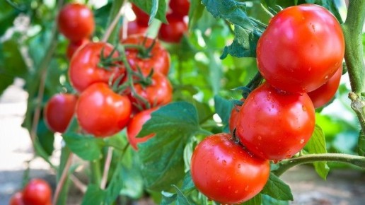 ������� ��������� ���������: ��� �������� ������� � ������� ��������� �������