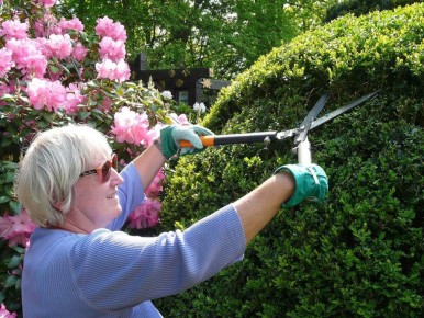 ������� � ����� ��� ������� �����������: ������ �� ���������