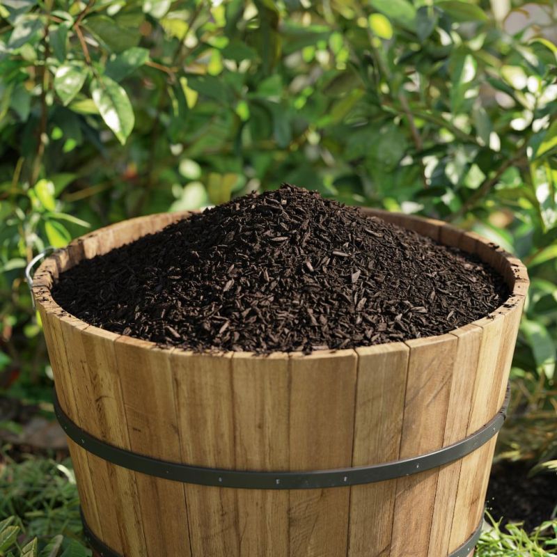 ��� ������� ����� ����� ����� ��������� ������� � �������