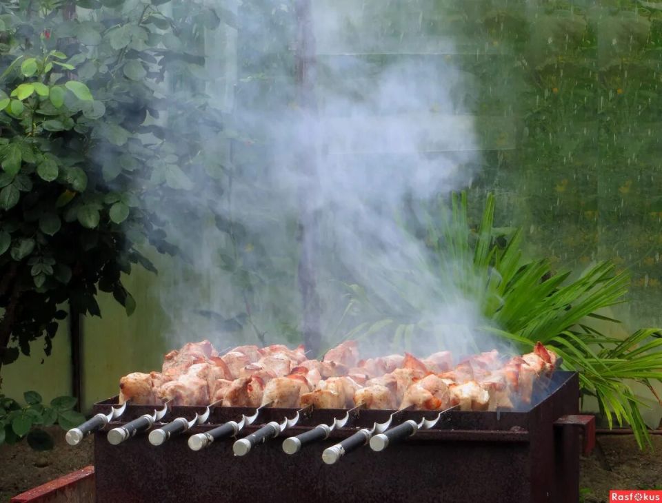 ����-������: ��� ��������� ������ ���� ����� ����